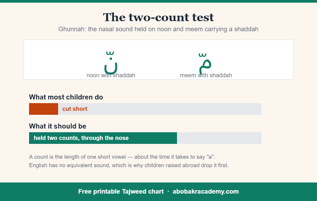 Diagram showing ghunnah held for two counts on noon and meem with shaddah, compared with the shortened version most children produce