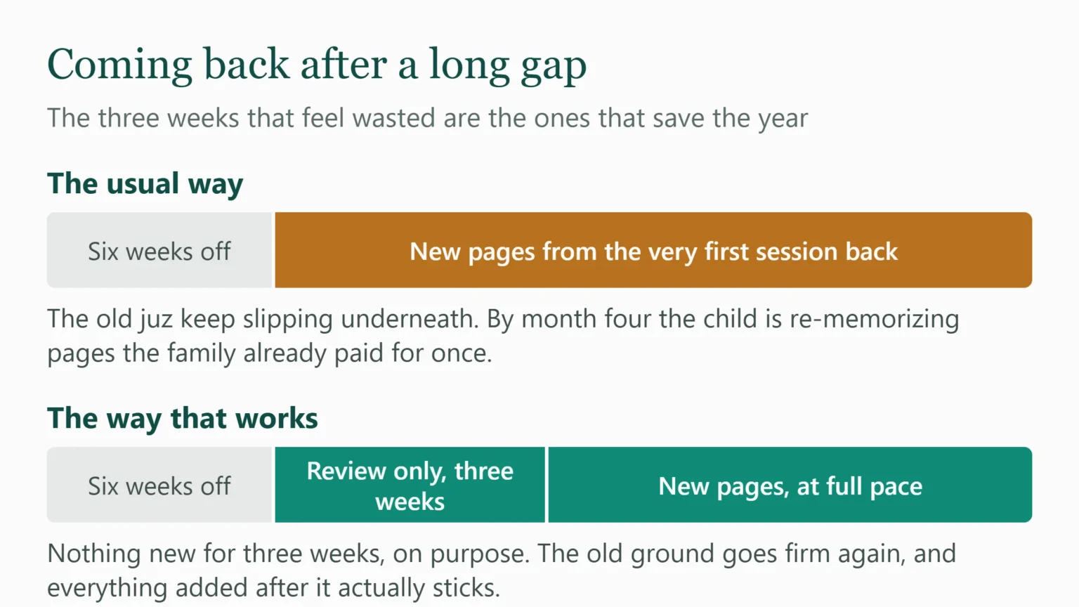 Comparison of two ways to restart hifz after a six-week break, one returning straight to new pages and one spending three weeks on review first.