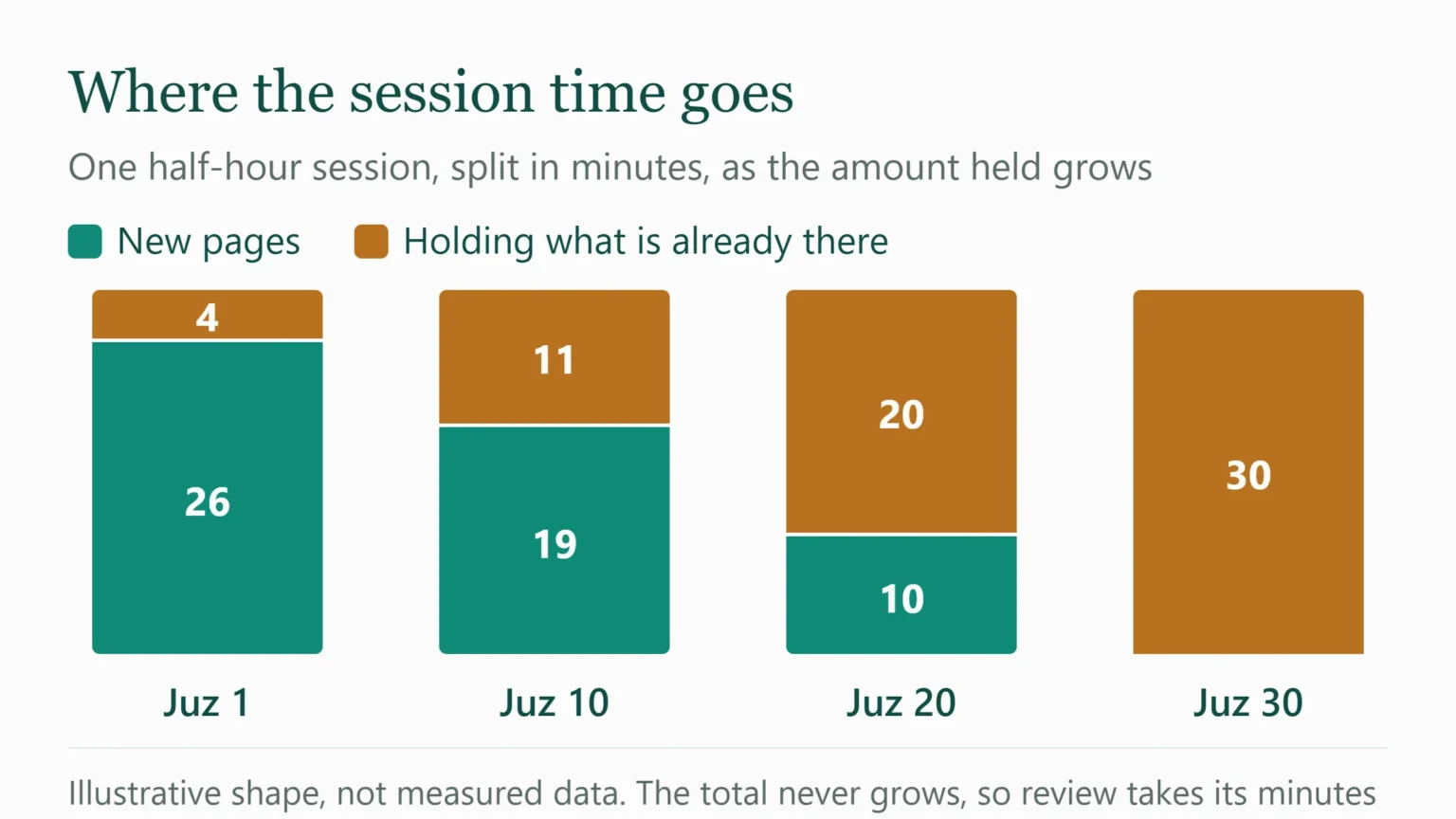 Stacked column chart showing how one half-hour hifz session splits between new pages and review at juz 1, 10, 20 and 30, with review taking the whole session by the end.