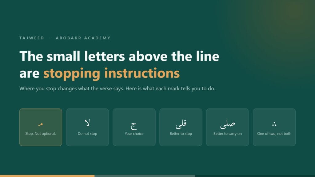 Six Quranic waqf marks shown as cards with plain English meanings: meem stop, laa do not stop, jeem your choice, qilaa better to stop, silaa better to carry on, and the three dots meaning stop at one of two places.
