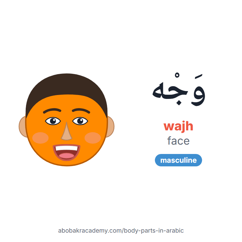 Face in Arabic: وَجْه (wajh), masculine. Picture card of a child's face with the face coloured in orange, the Arabic word with its vowel marks and how to say it.