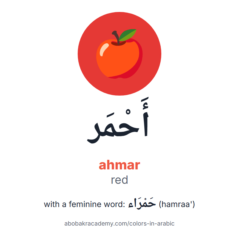 Red in Arabic: أَحْمَر (ahmar), and with a feminine word حَمْرَاء (hamraa'). Picture card of an apple on a red circle with the Arabic name, the vowel marks and how to say it.