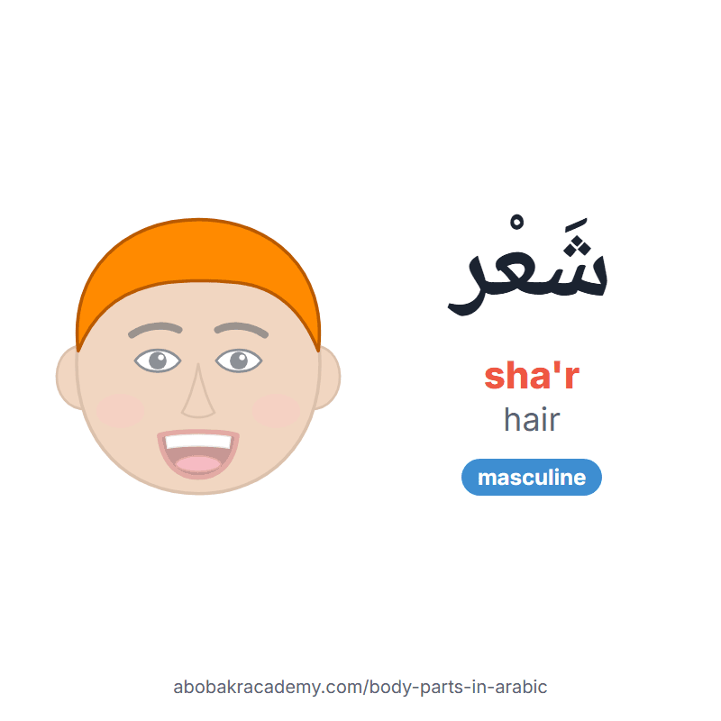 Hair in Arabic: شَعْر (sha'r), masculine. Picture card of a child's face with the hair coloured in orange, the Arabic word with its vowel marks and how to say it.