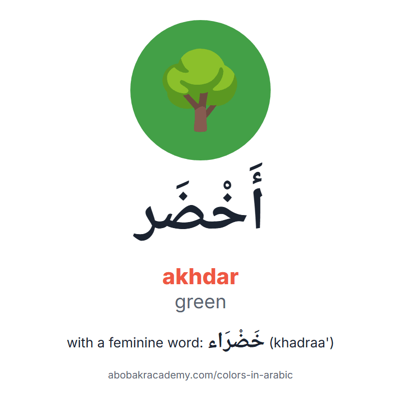 Green in Arabic: أَخْضَر (akhdar), and with a feminine word خَضْرَاء (khadraa'). Picture card of a tree on a green circle with the Arabic name, the vowel marks and how to say it.