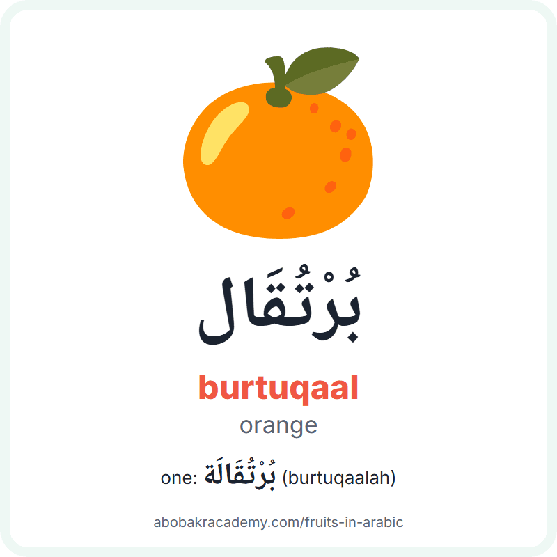 Orange in Arabic: بُرْتُقَال (burtuqaal), and one of them بُرْتُقَالَة (burtuqaalah). Picture card with a picture of a orange, the Arabic word with its vowel marks and how to say it.