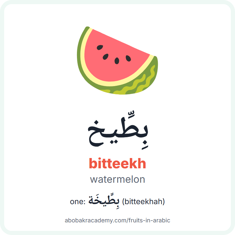 Watermelon in Arabic: بِطِّيخ (bitteekh), and one of them بِطِّيخَة (bitteekhah). Picture card with a picture of a watermelon, the Arabic word with its vowel marks and how to say it.