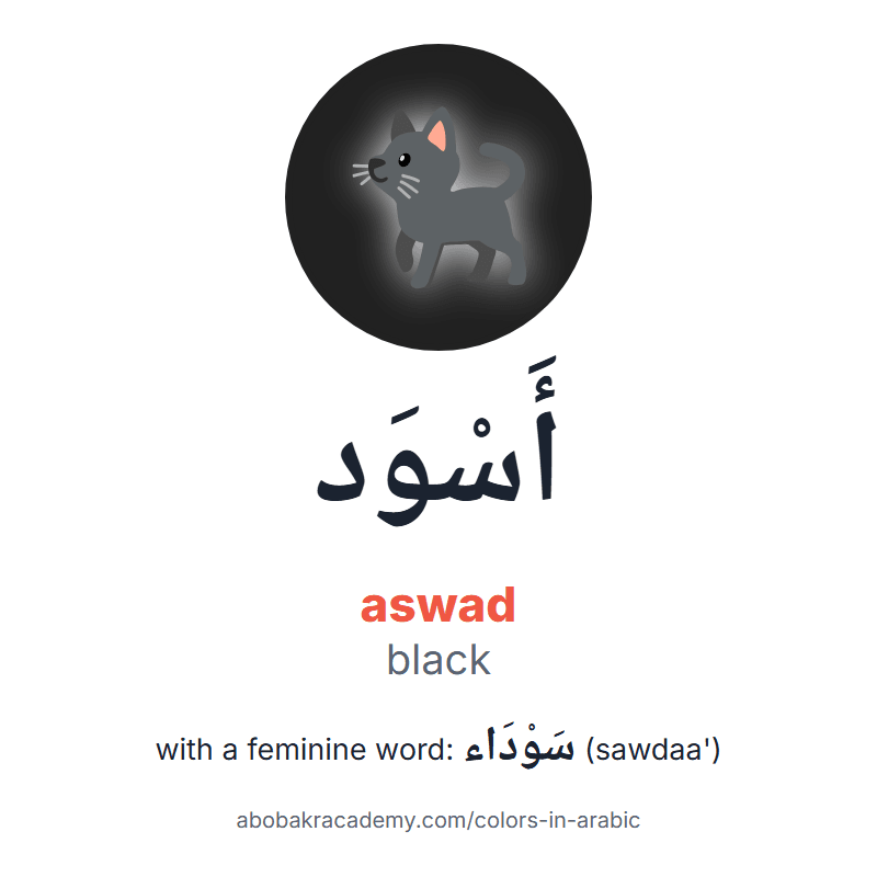 Black in Arabic: أَسْوَد (aswad), and with a feminine word سَوْدَاء (sawdaa'). Picture card of a black cat on a black circle with the Arabic name, the vowel marks and how to say it.