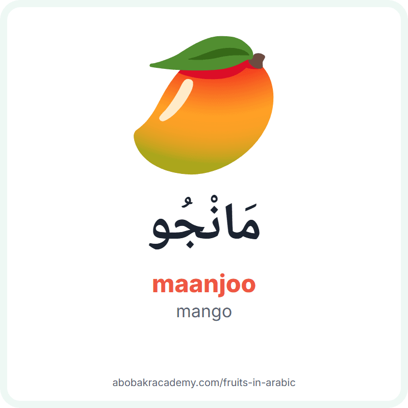 Mango in Arabic: مَانْجُو (maanjoo). Picture card with a picture of a mango, the Arabic word with its vowel marks and how to say it.