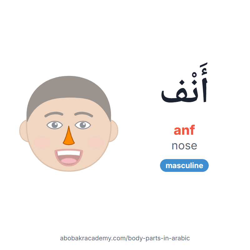 Nose in Arabic: أَنْف (anf), masculine. Picture card of a child's face with the nose coloured in orange, the Arabic word with its vowel marks and how to say it.