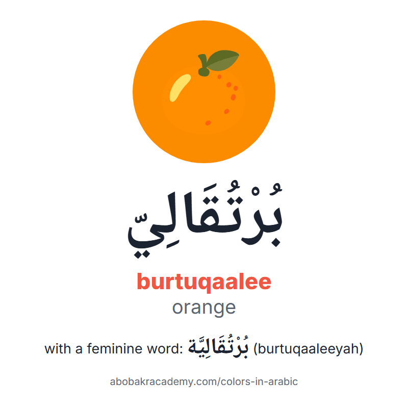 Orange in Arabic: بُرْتُقَالِيّ (burtuqaalee), and with a feminine word بُرْتُقَالِيَّة (burtuqaaleeyah). Picture card of an orange on an orange circle with the Arabic name, the vowel marks and how to say it.
