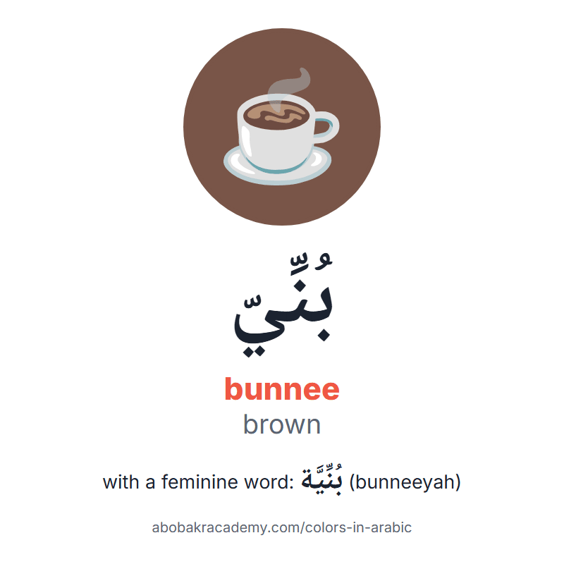 Brown in Arabic: بُنِّيّ (bunnee), and with a feminine word بُنِّيَّة (bunneeyah). Picture card of coffee on a brown circle with the Arabic name, the vowel marks and how to say it.