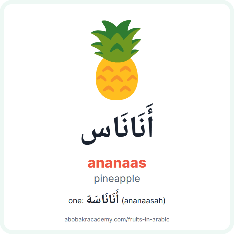 Pineapple in Arabic: أَنَانَاس (ananaas), and one of them أَنَانَاسَة (ananaasah). Picture card with a picture of a pineapple, the Arabic word with its vowel marks and how to say it.