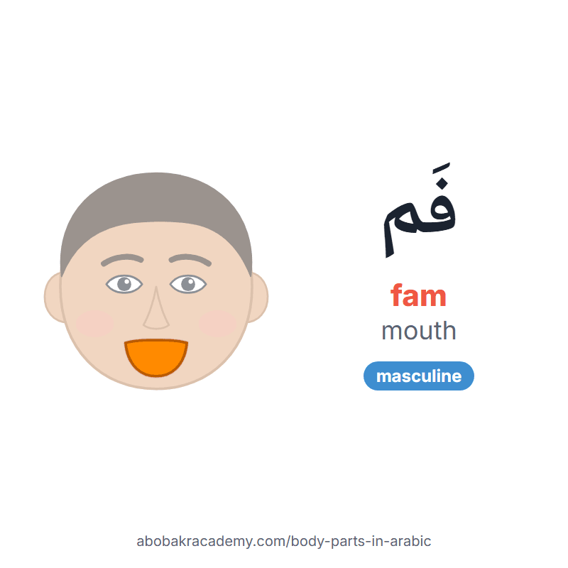Mouth in Arabic: فَم (fam), masculine. Picture card of a child's face with the mouth coloured in orange, the Arabic word with its vowel marks and how to say it.