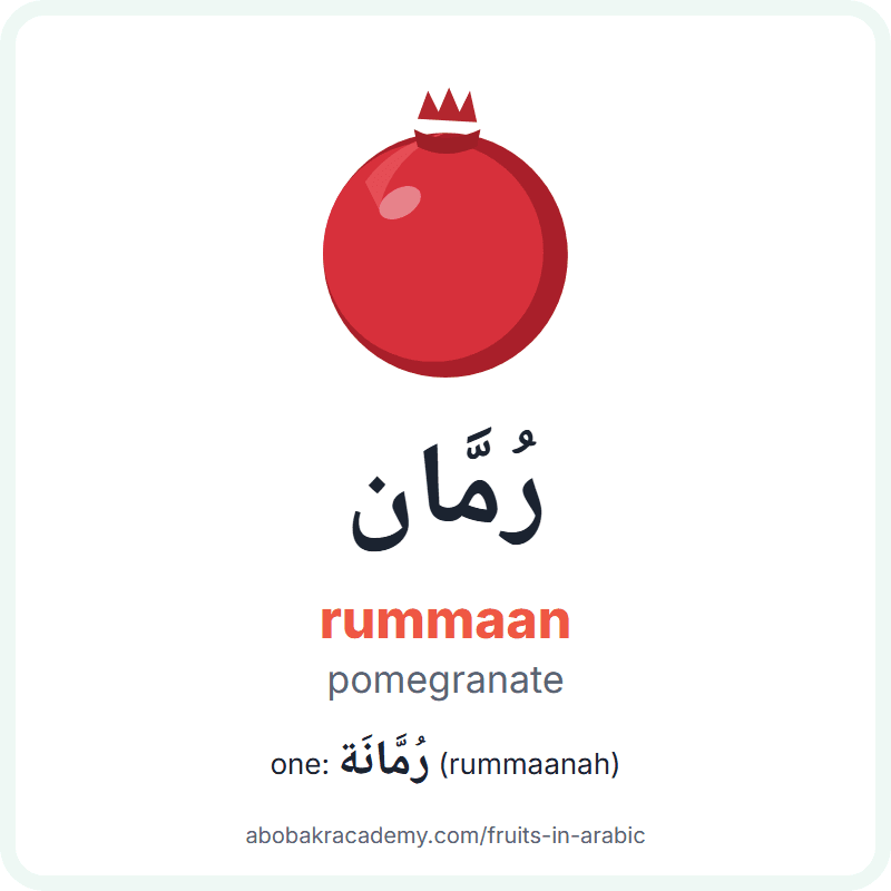 Pomegranate in Arabic: رُمَّان (rummaan), and one of them رُمَّانَة (rummaanah). Picture card with a drawing of a pomegranate, the Arabic word with its vowel marks and how to say it.