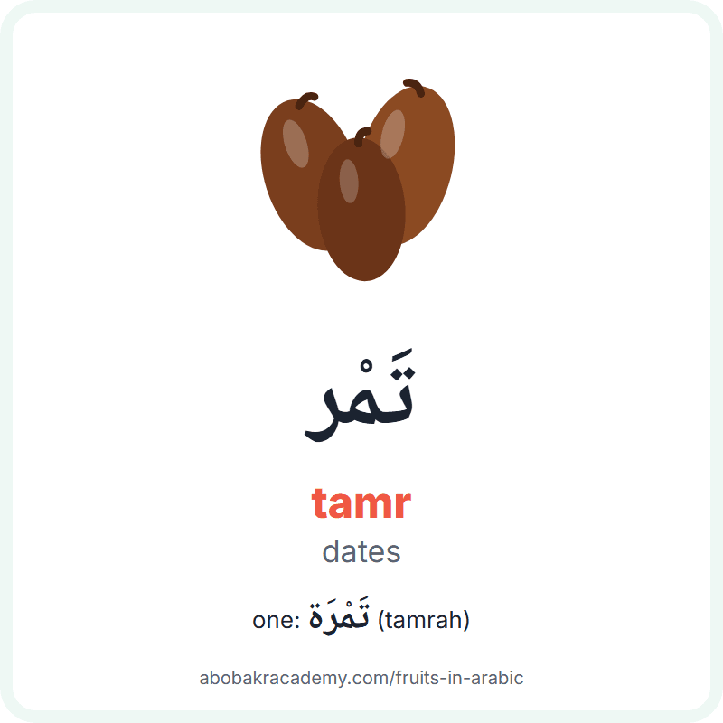 Dates in Arabic: تَمْر (tamr), and one of them تَمْرَة (tamrah). Picture card with a drawing of three dates, the Arabic word with its vowel marks and how to say it.