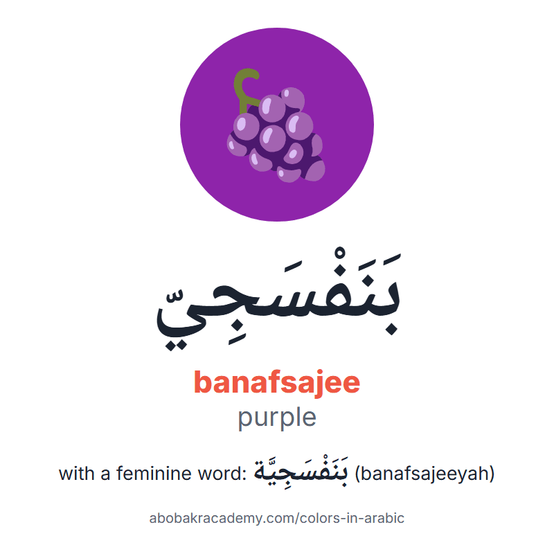Purple in Arabic: بَنَفْسَجِيّ (banafsajee), and with a feminine word بَنَفْسَجِيَّة (banafsajeeyah). Picture card of grapes on a purple circle with the Arabic name, the vowel marks and how to say it.