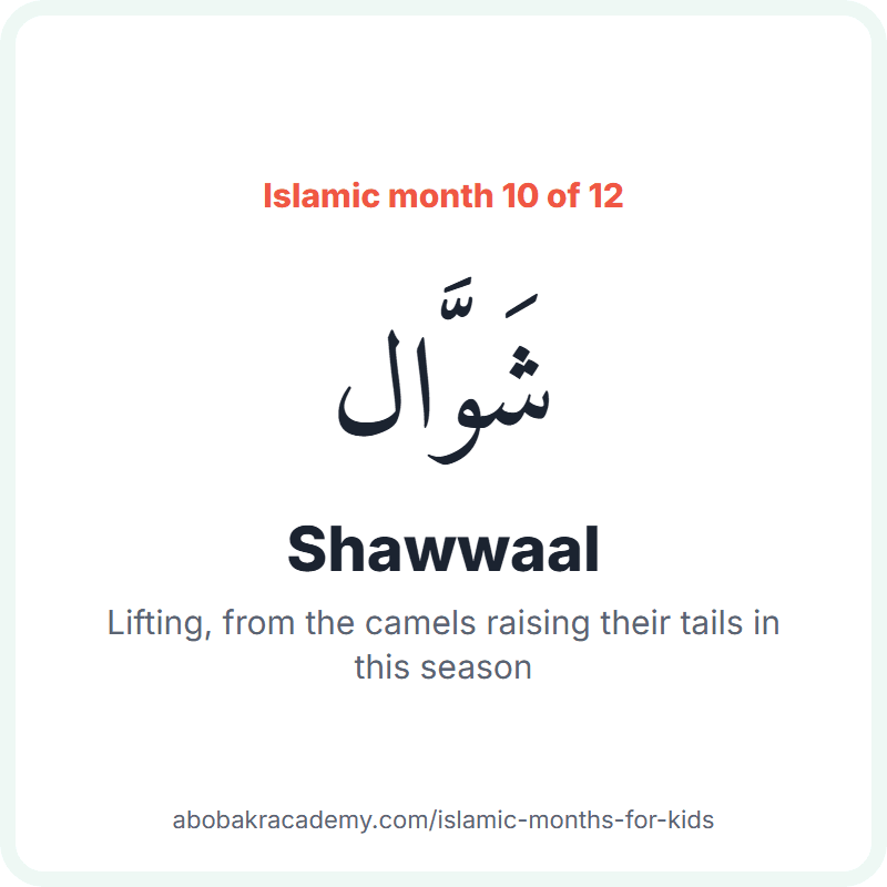 Shawwaal in Arabic, شَوَّال, the tenth month of the Islamic year. The name means: lifting, from the camels raising their tails in this season.