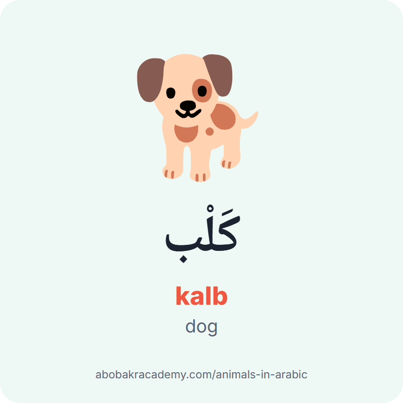 Dog in Arabic: كَلْب (kalb). Picture card of a dog with its Arabic name, the vowel marks and how to say it.