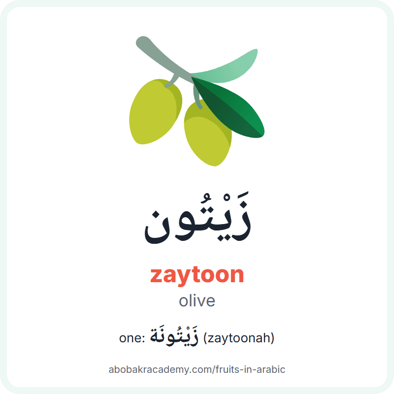 Olive in Arabic: زَيْتُون (zaytoon), and one of them زَيْتُونَة (zaytoonah). Picture card with a picture of a olive, the Arabic word with its vowel marks and how to say it.