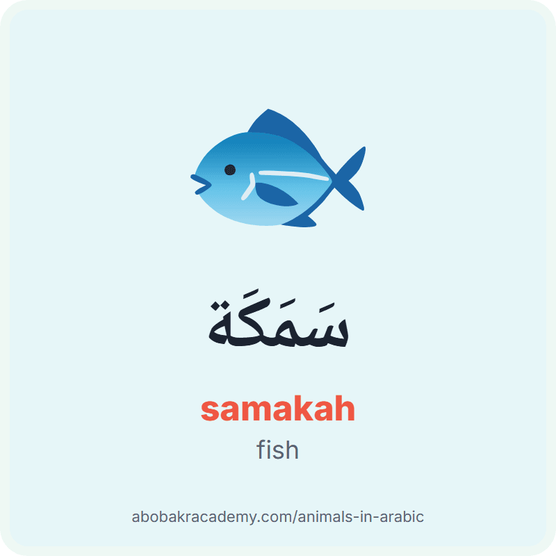 Fish in Arabic: سَمَكَة (samakah). Picture card of a fish with its Arabic name, the vowel marks and how to say it.