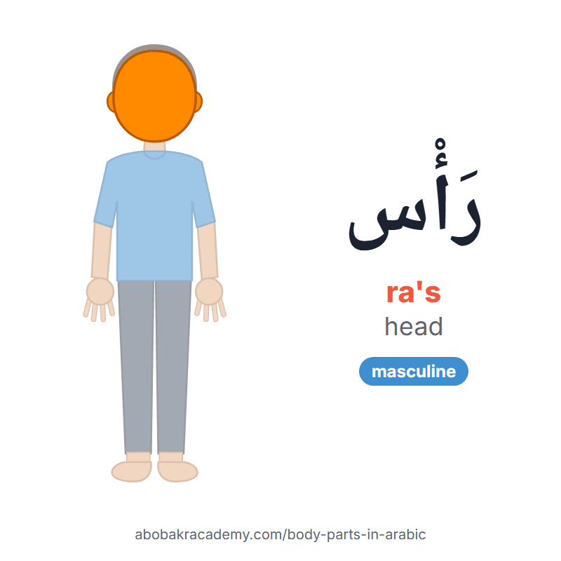 Head in Arabic: رَأْس (ra's), masculine. Picture card of a child with the head coloured in orange, the Arabic word with its vowel marks and how to say it.