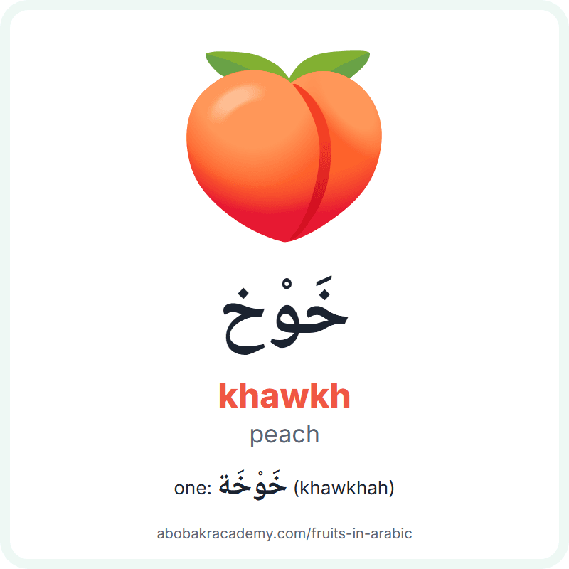 Peach in Arabic: خَوْخ (khawkh), and one of them خَوْخَة (khawkhah). Picture card with a picture of a peach, the Arabic word with its vowel marks and how to say it.