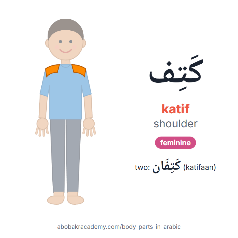 Shoulder in Arabic: كَتِف (katif), feminine, and two of them كَتِفَان (katifaan). Picture card of a child with the shoulder coloured in orange, the Arabic word with its vowel marks and how to say it.