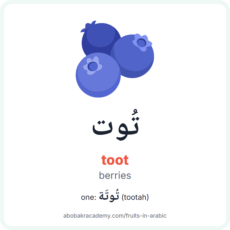 Berries in Arabic: تُوت (toot), and one of them تُوتَة (tootah). Picture card with a picture of berries, the Arabic word with its vowel marks and how to say it.