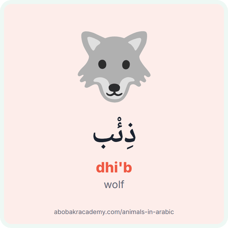 Wolf in Arabic: ذِئْب (dhi'b). Picture card of a wolf with its Arabic name, the vowel marks and how to say it.
