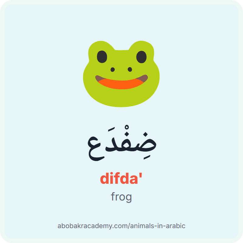 Frog in Arabic: ضِفْدَع (difda'). Picture card of a frog with its Arabic name, the vowel marks and how to say it.