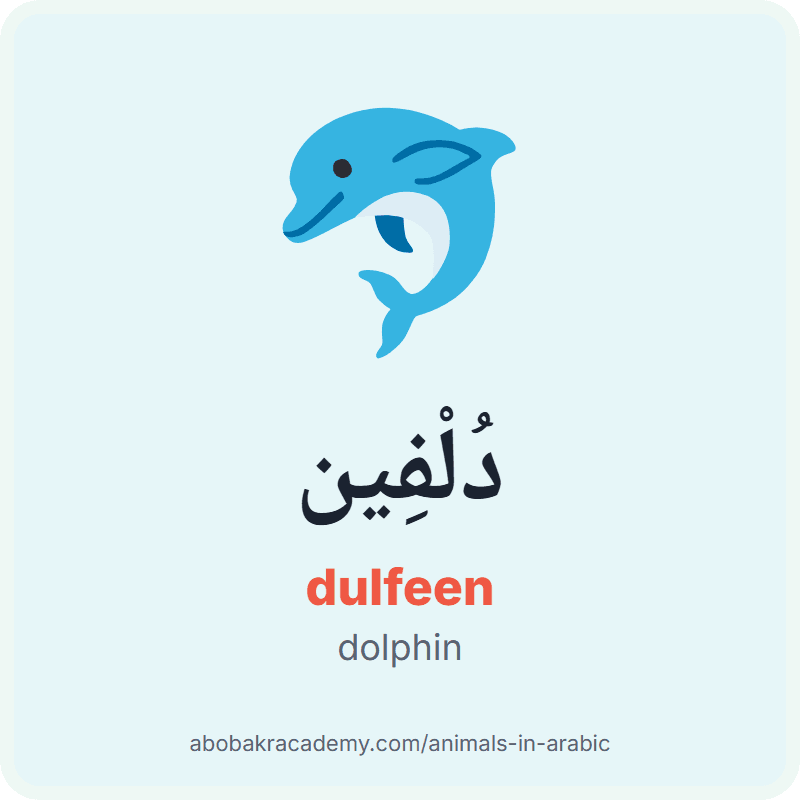 Dolphin in Arabic: دُلْفِين (dulfeen). Picture card of a dolphin with its Arabic name, the vowel marks and how to say it.