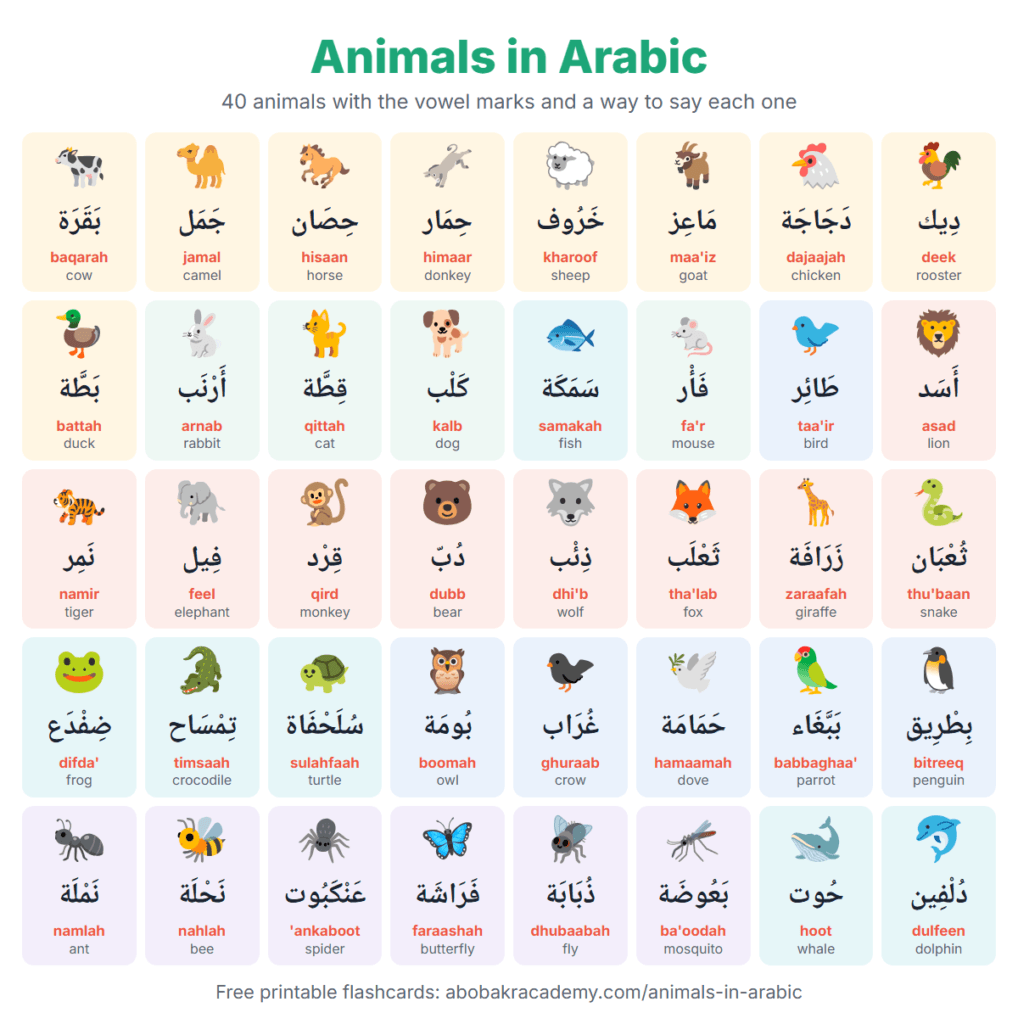 Chart of 40 animals in Arabic with pictures. Each animal has its Arabic name with vowel marks, how to say it and the English, from cow (baqarah) and camel (jamal) to whale (hoot) and dolphin (dulfeen).