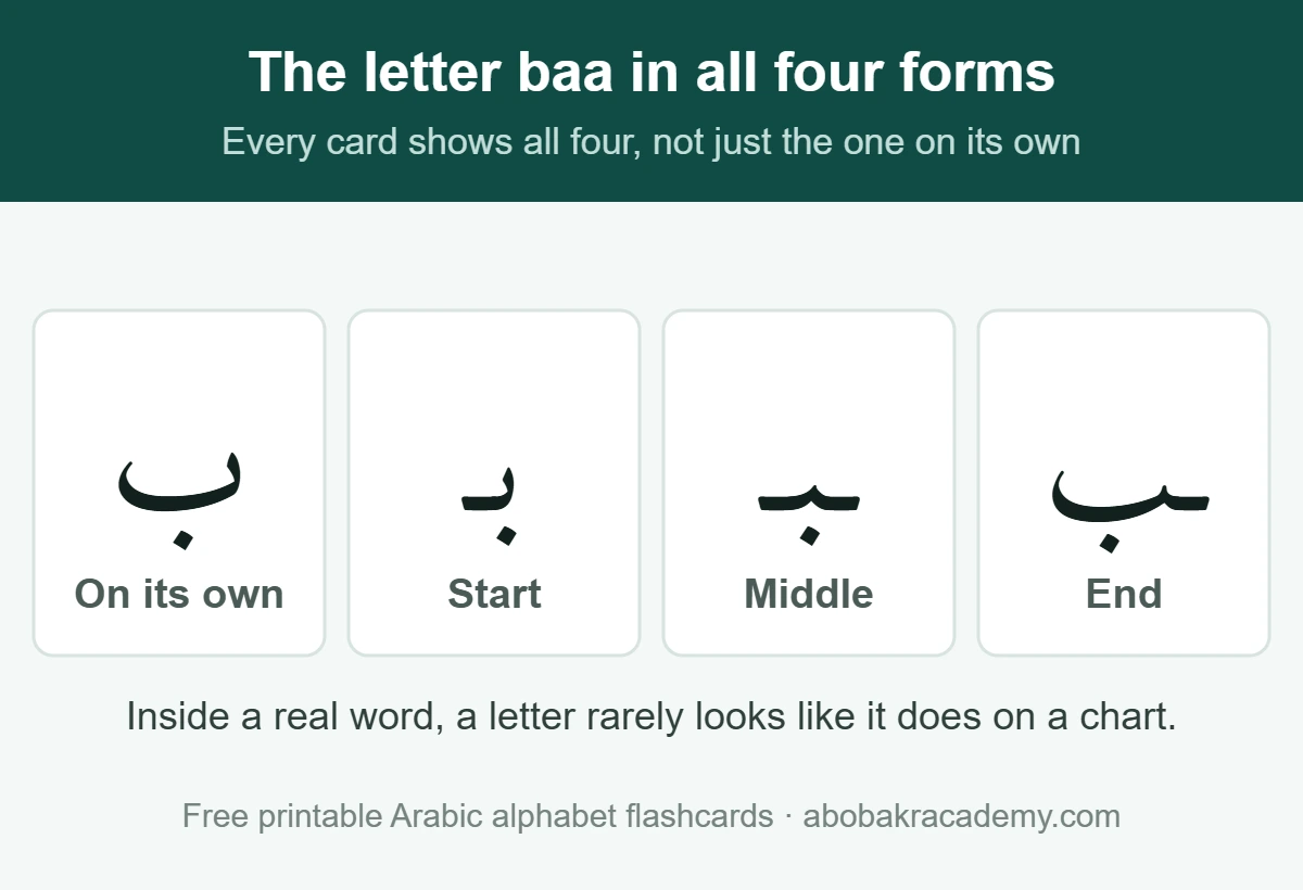 A flashcard from the free set showing the Arabic letter baa four times: on its own, at the start of a word, in the middle and at the end, each shape drawn with the joining strokes that connect it to the letters beside it.