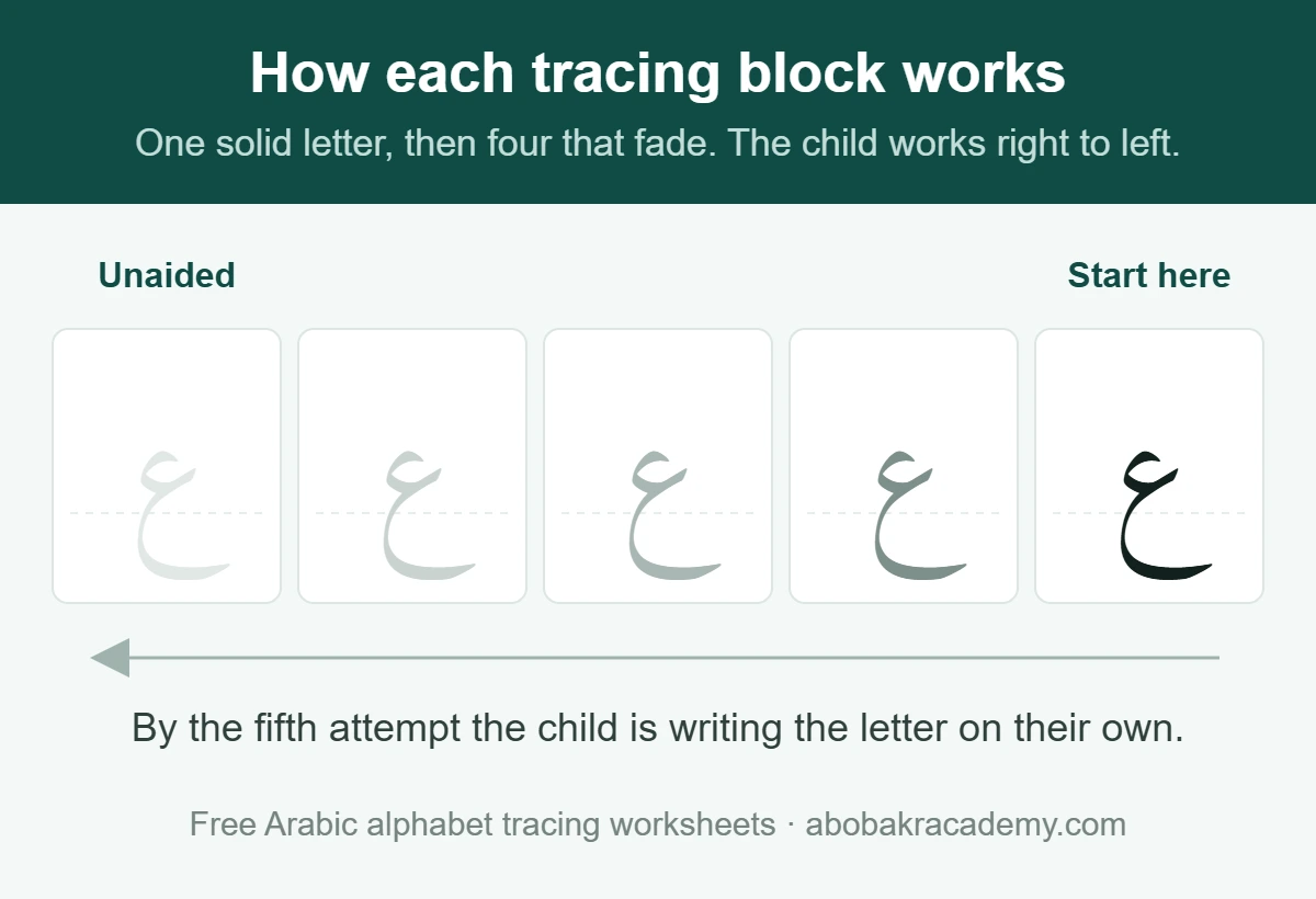 One tracing block from the free worksheets: the Arabic letter ayn printed five times in a row, solid on the right where the child starts, then fading through three paler copies to a near-invisible outline on the left, with an arrow showing that the work runs right to left.