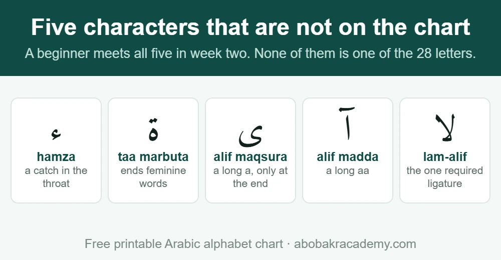Five Arabic characters that are not among the 28 letters and appear on no alphabet chart: hamza, taa marbuta, alif maqsura, alif madda and the lam-alif ligature, each with a one-line note on what it is.