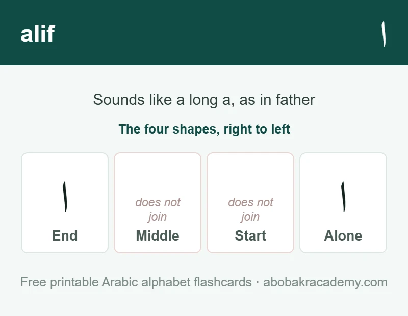 Flashcard for the Arabic letter alif: it is shown alone and at the end of a word only, because it never joins to the letter after it, and it sounds like a long a, as in father.