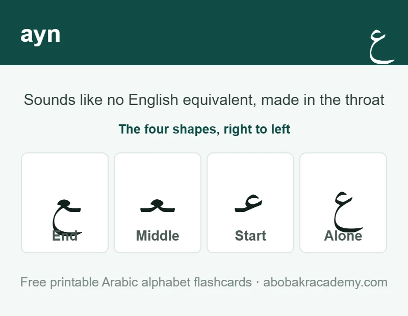 Flashcard for the Arabic letter ayn: the letter shown alone, then at the start, middle and end of a word, with the note that it sounds like no English equivalent, made in the throat.