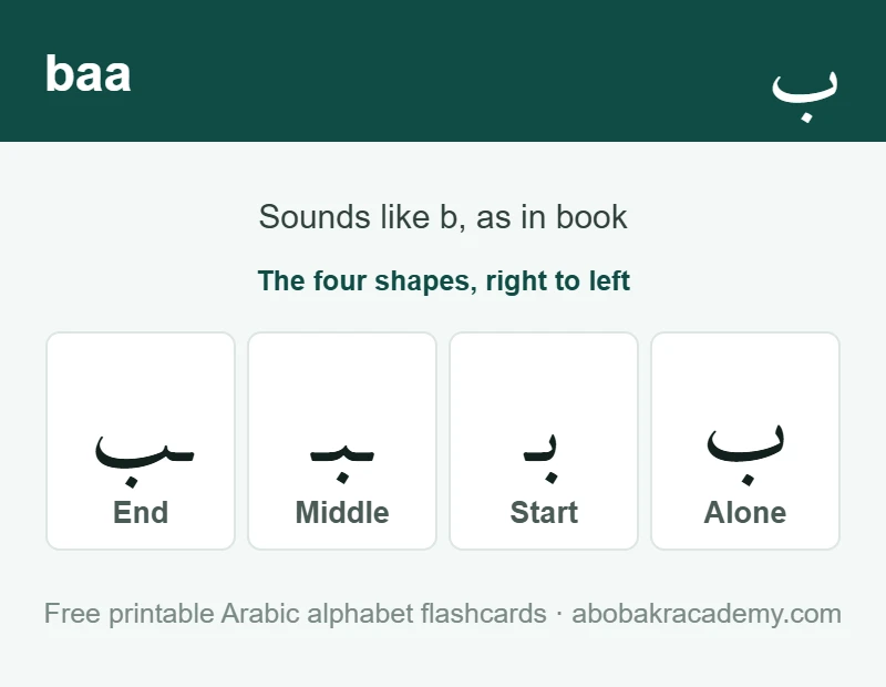 Flashcard for the Arabic letter baa: the letter shown alone, then at the start, middle and end of a word, with the note that it sounds like b, as in book.