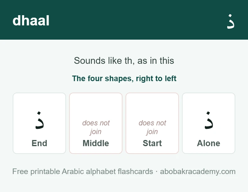 Flashcard for the Arabic letter dhaal: it is shown alone and at the end of a word only, because it never joins to the letter after it, and it sounds like th, as in this.