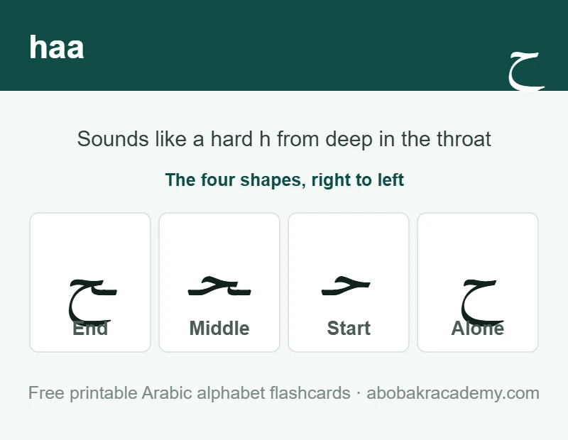 Flashcard for the Arabic letter haa: the letter shown alone, then at the start, middle and end of a word, with the note that it sounds like a hard h from deep in the throat.