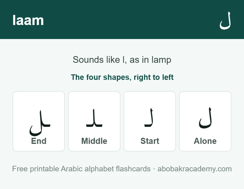 Flashcard for the Arabic letter laam: the letter shown alone, then at the start, middle and end of a word, with the note that it sounds like l, as in lamp.