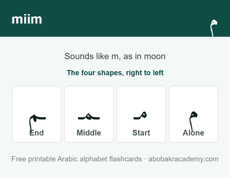 Flashcard for the Arabic letter miim: the letter shown alone, then at the start, middle and end of a word, with the note that it sounds like m, as in moon.
