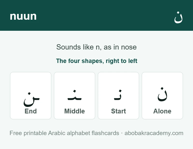 Flashcard for the Arabic letter nuun: the letter shown alone, then at the start, middle and end of a word, with the note that it sounds like n, as in nose.