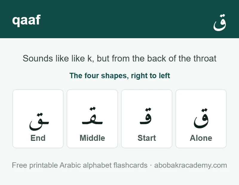Flashcard for the Arabic letter qaaf: the letter shown alone, then at the start, middle and end of a word, with the note that it sounds like like k, but from the back of the throat.