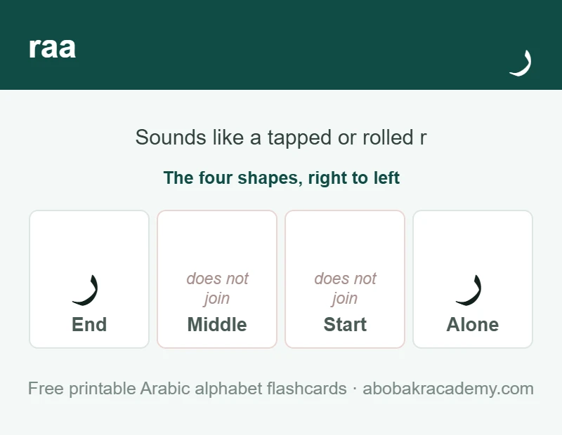 Flashcard for the Arabic letter raa: it is shown alone and at the end of a word only, because it never joins to the letter after it, and it sounds like a tapped or rolled r.