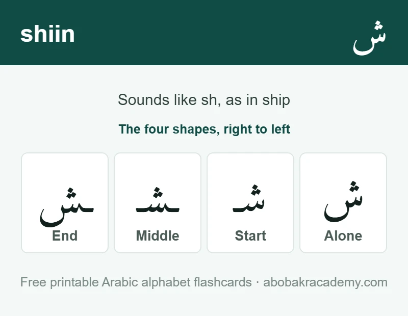 Flashcard for the Arabic letter shiin: the letter shown alone, then at the start, middle and end of a word, with the note that it sounds like sh, as in ship.