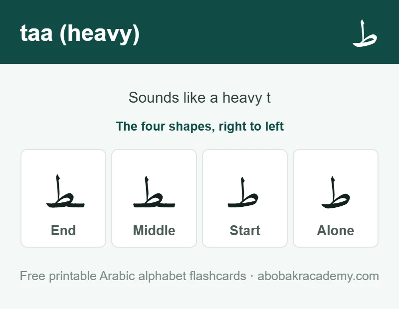 Flashcard for the Arabic letter taa (heavy): the letter shown alone, then at the start, middle and end of a word, with the note that it sounds like a heavy t.