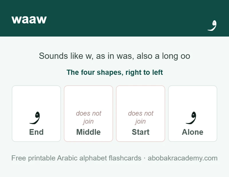Flashcard for the Arabic letter waaw: it is shown alone and at the end of a word only, because it never joins to the letter after it, and it sounds like w, as in was, also a long oo.