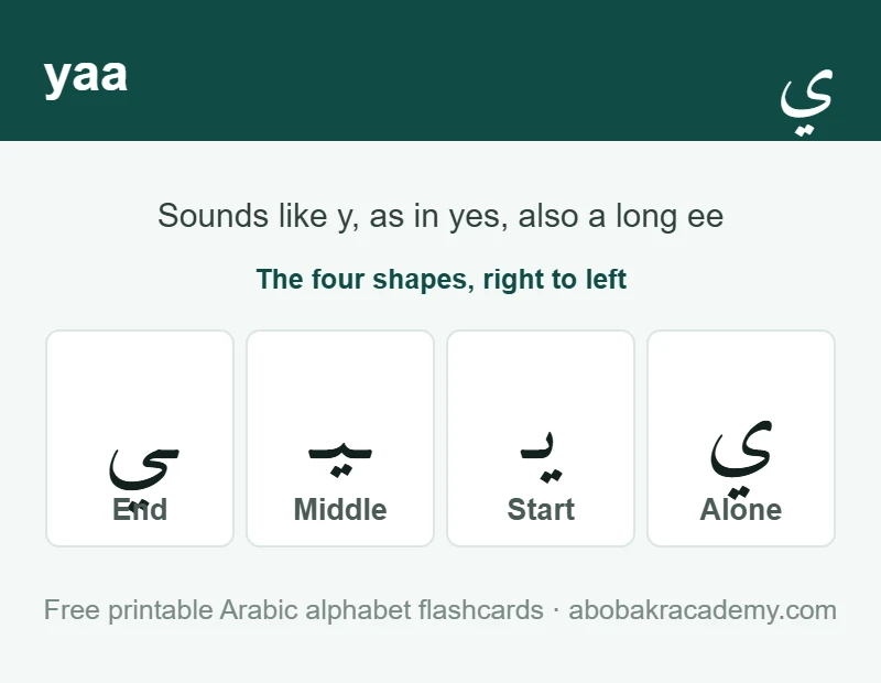 Flashcard for the Arabic letter yaa: the letter shown alone, then at the start, middle and end of a word, with the note that it sounds like y, as in yes, also a long ee.