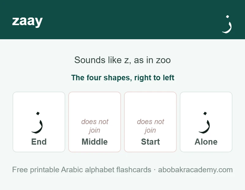 Flashcard for the Arabic letter zaay: it is shown alone and at the end of a word only, because it never joins to the letter after it, and it sounds like z, as in zoo.